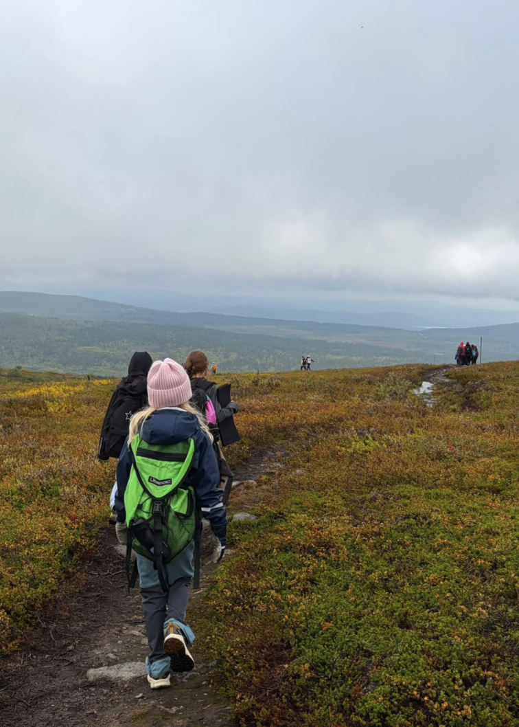 Elever med ryggsäckar vandrar på en stig genom ett vidsträckt fjällandskap med höstfärgad ljung en mulen dag.